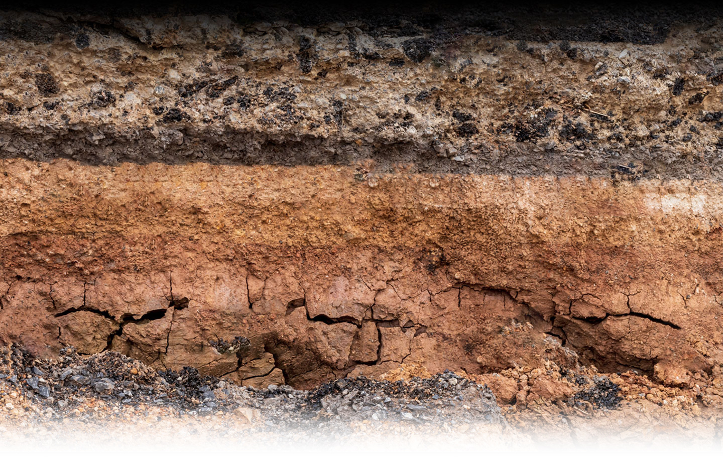 Img del suolo terrestre